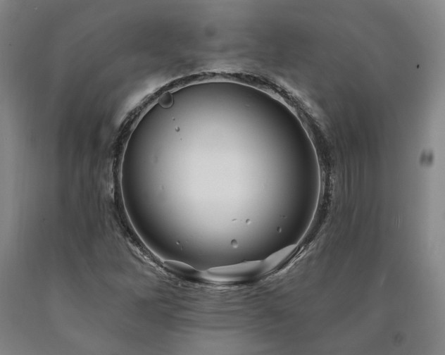X0000090931262200707301546