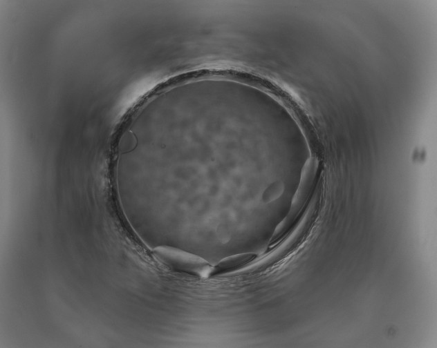 X0000090931263200707301546