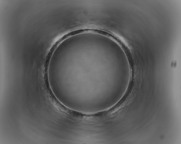 X0000090931264200707301546