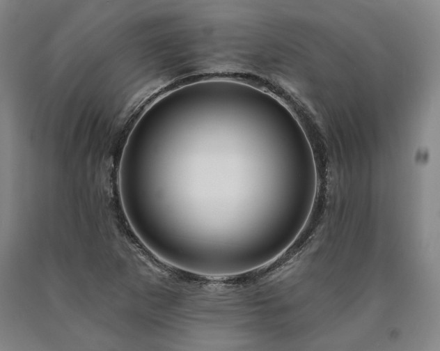 X0000090931265200707301546
