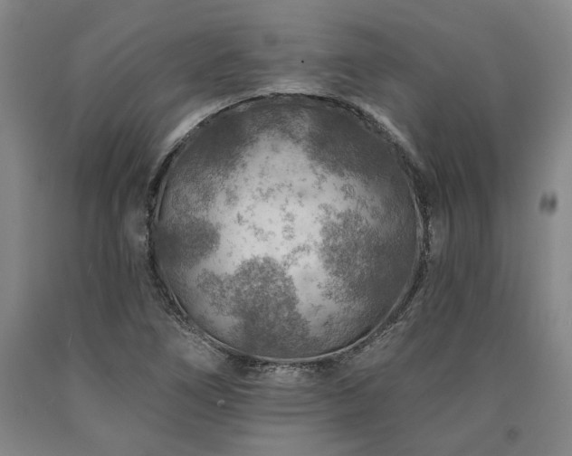 X0000090931266200707301546