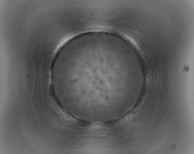 X0000090931267200707301546