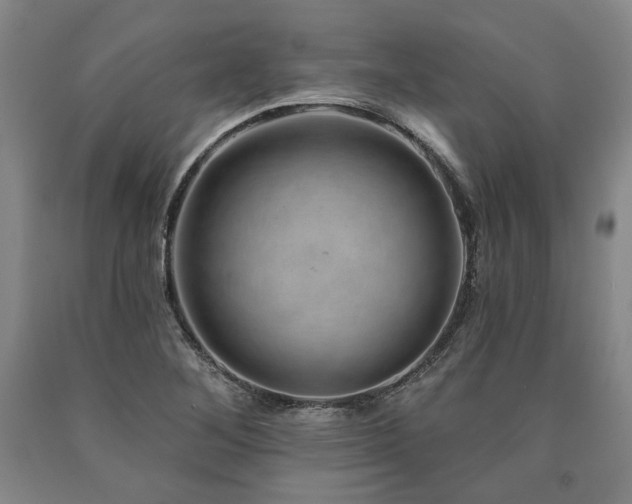 X0000090931268200707301546