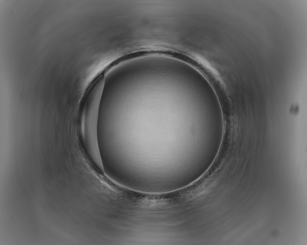 X0000090931269200707301546