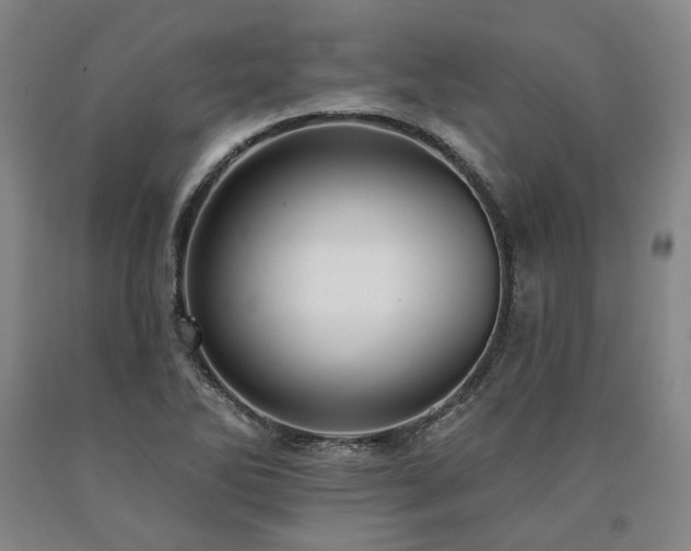 X0000090931270200707301546