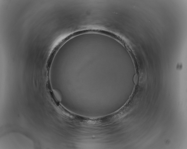 X0000090931271200707301546