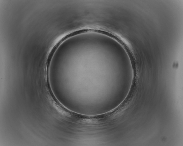 X0000090931272200707301546