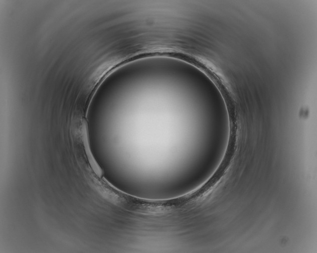 X0000090931273200707301546