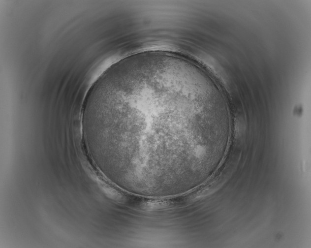 X0000090931274200707301546