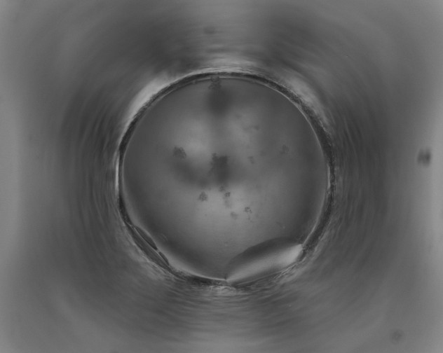 X0000090931275200707301546