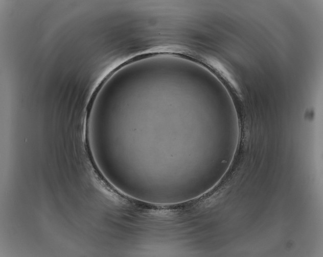 X0000090931276200707301546