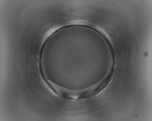 X0000090931277200707301546