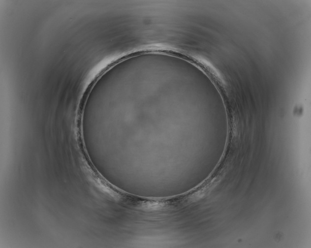 X0000090931278200707301546