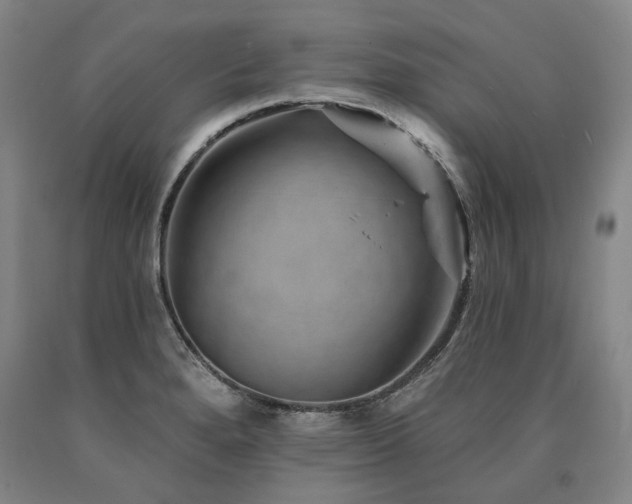 X0000090931280200707301546