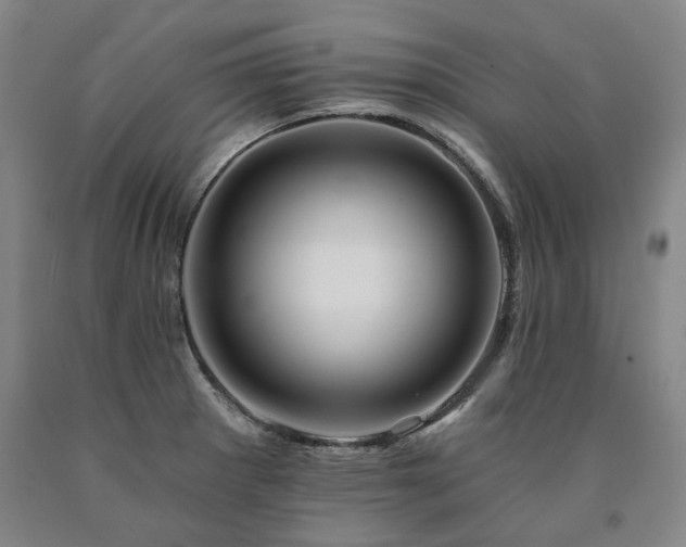 X0000090931281200707301546