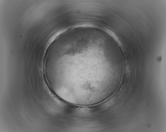 X0000090931282200707301546