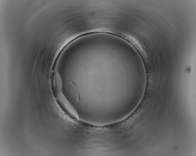 X0000090931284200707301546