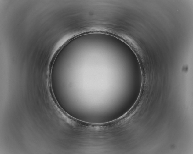 X0000090931286200707301546