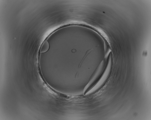X0000090931287200707301546