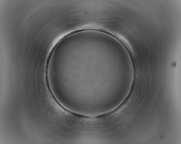 X0000090931288200707301546