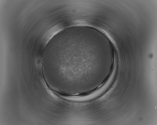 X0000090931289200707301546