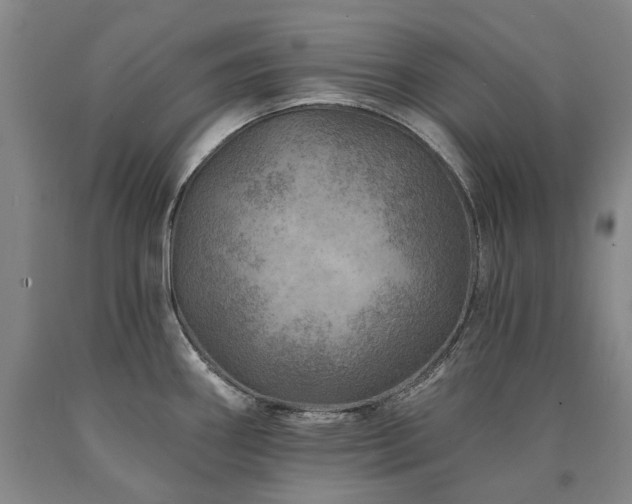 X0000090931290200707301546