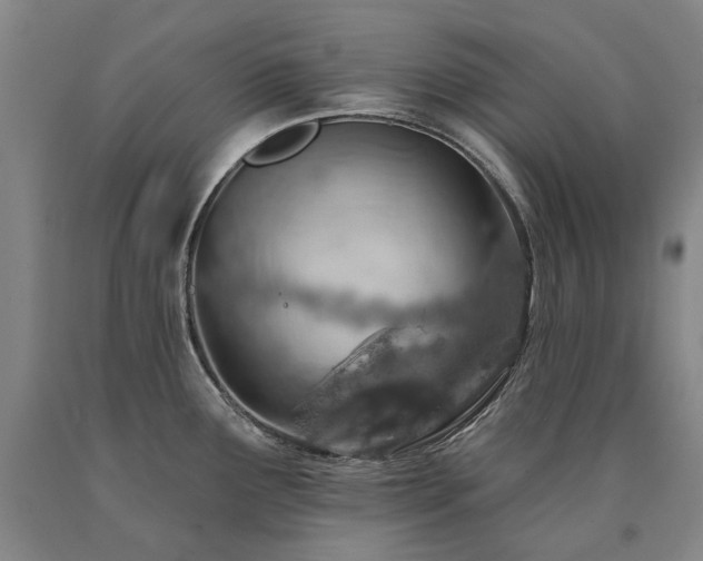 X0000090931291200707301546