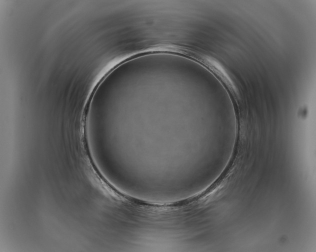 X0000090931292200707301546