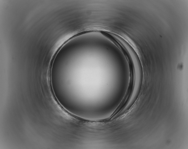 X0000090931293200707301546