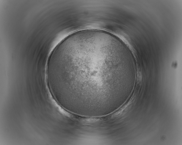 X0000090931294200707301546