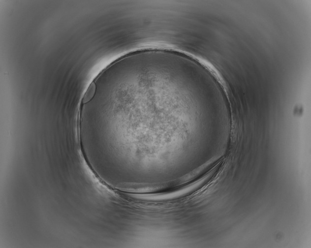 X0000090931295200707301546