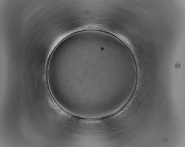 X0000090931296200707301546