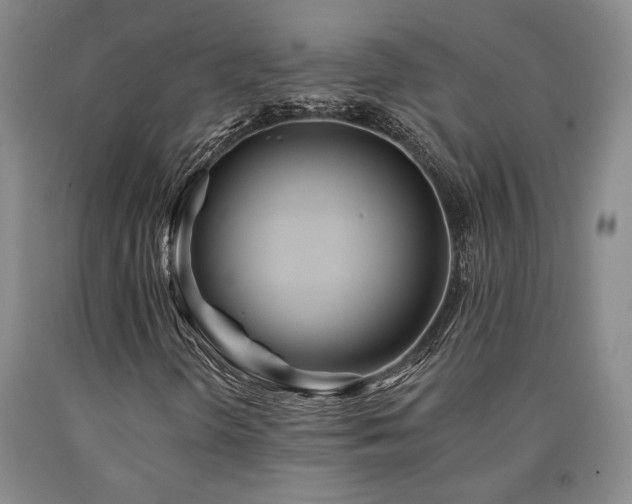 X0000090931298200707301545