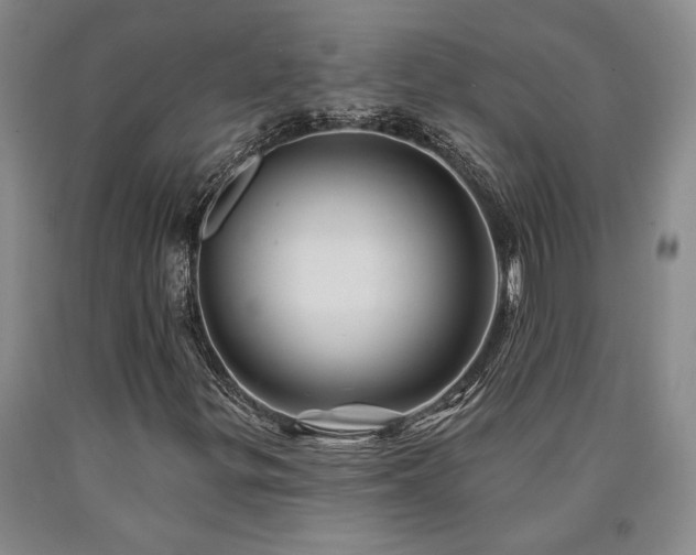 X0000090931299200707301545