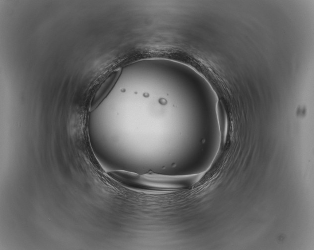 X0000090931300200707301545