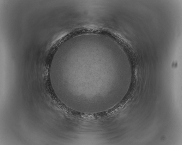 X0000090931302200707301545