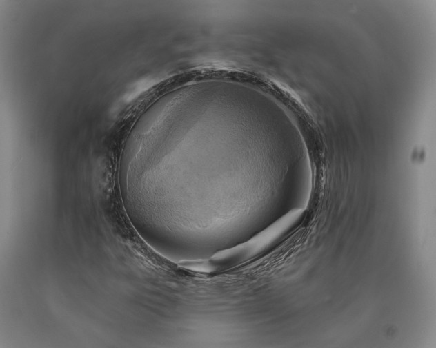 X0000090931303200707301545