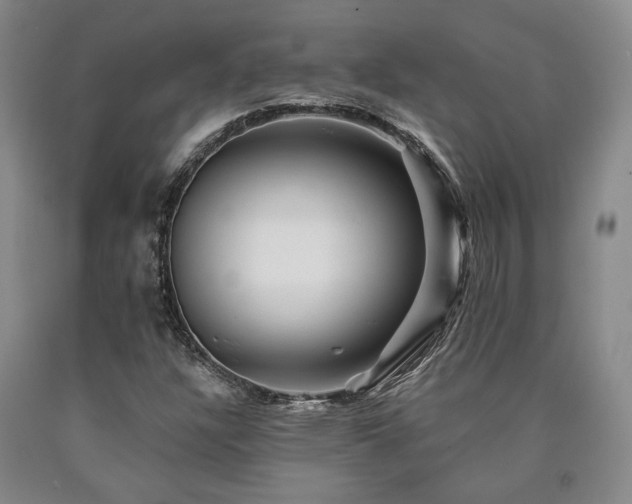 X0000090931304200707301545