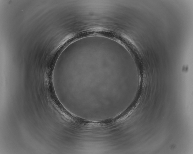 X0000090931305200707301545