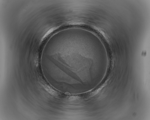 X0000090931306200707301545