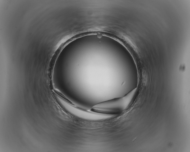 X0000090931308200707301545