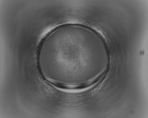 X0000090931311200707301545