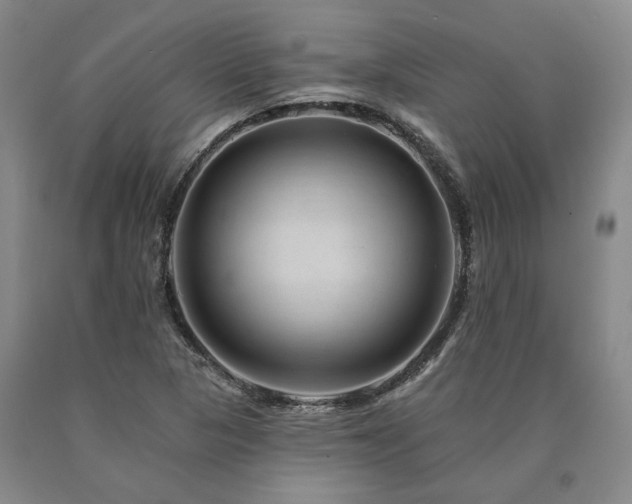X0000090931313200707301545