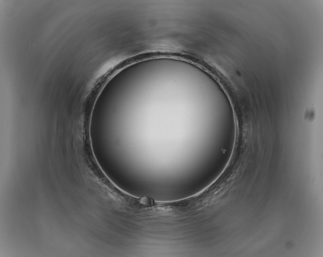 X0000090931315200707301545