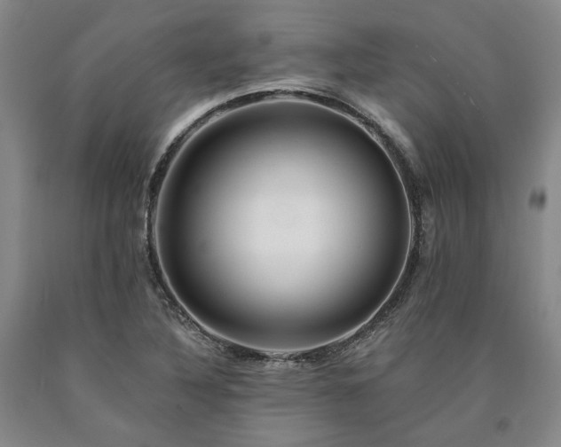 X0000090931316200707301545