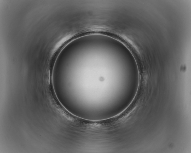 X0000090931317200707301545