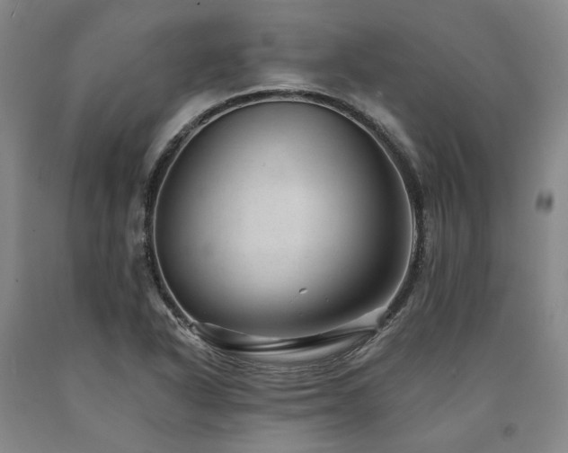 X0000090931318200707301545