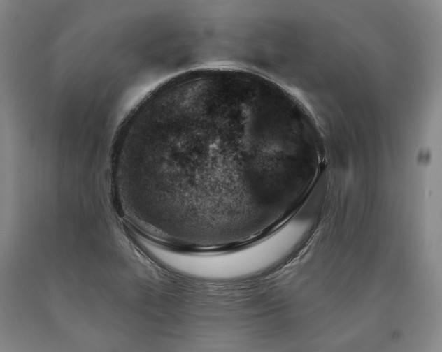 X0000090931319200707301545