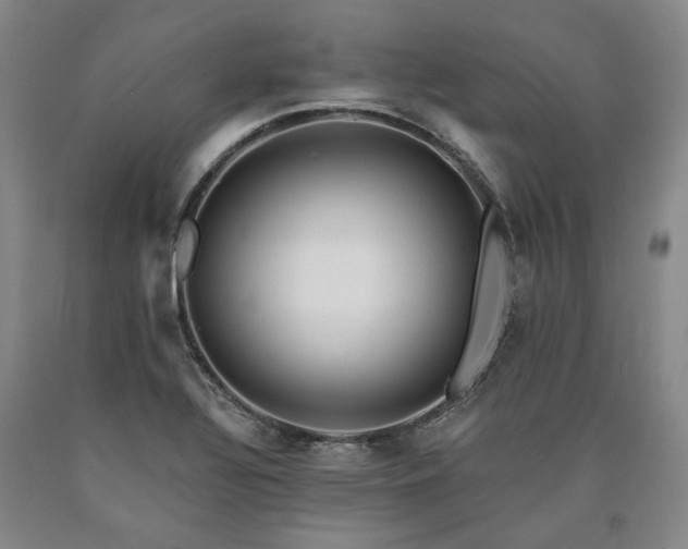 X0000090931320200707301545