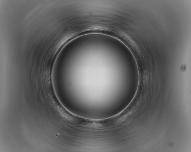 X0000090931321200707301545